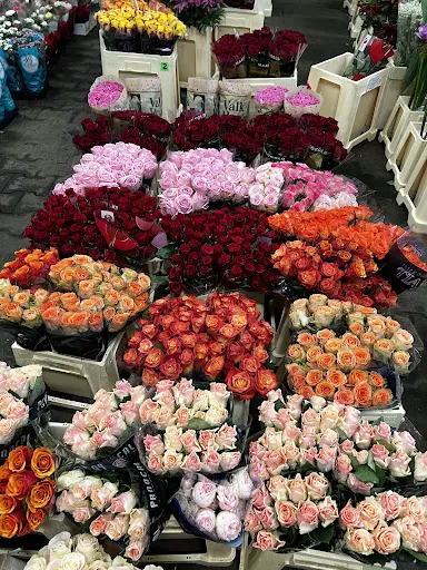 F.H Andrzej Ułamek kwiaty cięte i doniczkowe.Bambus